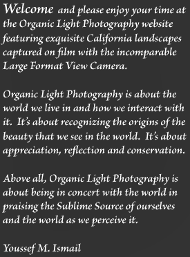Welcome 
        and please enjoy your time at the Organic Light Photography website
        featuring the exquisite California Landscapes captured with the incomparable
        Large Format Camera. - 
        nature and landscape photography. Organic Light Photography is about the 
        world we live in and how we interact with it. It is about recognizing the
        origins of the beauty that we see in the world.  Its about appreciation,
        reflection and conservation.  Above all, Organic Light Photography is about
        being in concert with the world in praising the Sublime Source of ourselves
        and the world as we perceive it.  Organic Light Photo - landscape 
        and nature photography by Youssef Ismail. Essays about nature and creation. 
        Relfections on the Creator from an Islamic viewpoint - Islam and God the 
        Creator. Print Sales and Image Licensing. Weddings and Portraits. Lectures 
        and Workshops.  Nature and Landscape Images with emphasis on Creation, the 
        Creator and our relationship them.  Nature and landscape photography.  
        Nature Photography.  Landscape photography.  Islam and nature.  
        God and His Creation. Essays by Youssef Ismail.  Image Gallery.  News and
        Information.  Photographic Techniqes.  Photo Sales.  Photo slaes. Photographic Sales.
        Art shows.  Art Festivals.  Fine Art Photographs.  Color Photos.