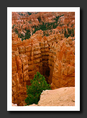 Bryce Canyon