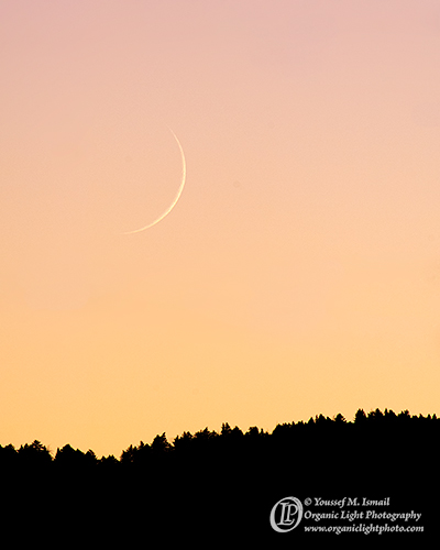 Crescent Moon of Dhul Hijjah 1433