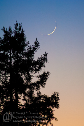 Crescent Moon of Dhul Hijjah 1441