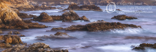 Indecision - Big Sur Coastline