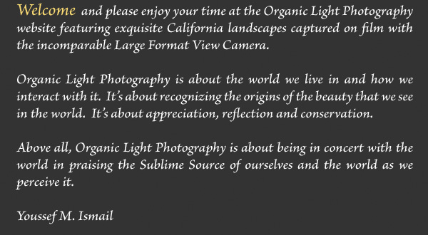 Welcome 
        and please enjoy your time at the Organic Light Photography website
        featuring the exquisite California Landscapes captured with the incomparable
        Large Format Camera. - 
        nature and landscape photography. Organic Light Photography is about the 
        world we live in and how we interact with it. It is about recognizing the
        origins of the beauty that we see in the world.  Its about appreciation,
        reflection and conservation.  Above all, Organic Light Photography is about
        being in concert with the world in praising the Sublime Source of ourselves
        and the world as we perceive it.  Organic Light Photo - landscape 
        and nature photography by Youssef Ismail. Essays about nature and creation. 
        Relfections on the Creator from an Islamic viewpoint - Islam and God the 
        Creator. Print Sales and Image Licensing. Weddings and Portraits. Lectures 
        and Workshops.  Nature and Landscape Images with emphasis on Creation, the 
        Creator and our relationship them.  Nature and landscape photography.  
        Nature Photography.  Landscape photography.  Islam and nature.  
        God and His Creation. Essays by Youssef Ismail.  Image Gallery.  News and
        Information.  Photographic Techniqes.  Photo Sales.  Photo slaes. Photographic Sales.
        Art shows.  Art Festivals.  Fine Art Photographs.  Color Photos.