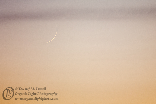 New Crescent Moon of Shabaan 1435