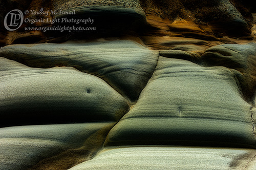 Stone Bellies