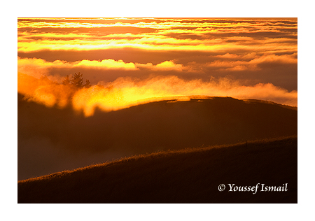 Fog rolling in over Santa Cruz Mountains