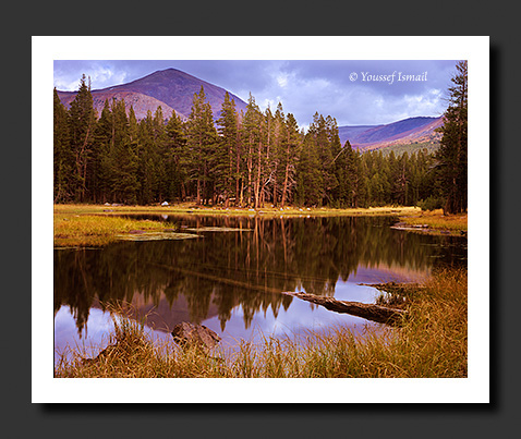 A Calm Tarn in Tioga