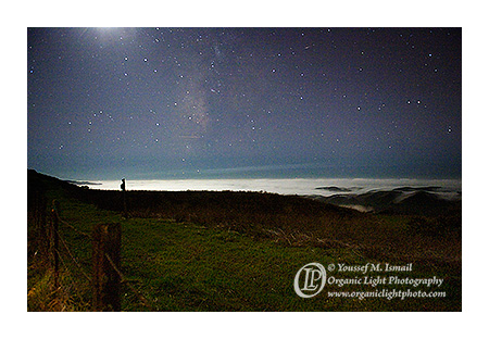 Windy Hill Under Moon Light