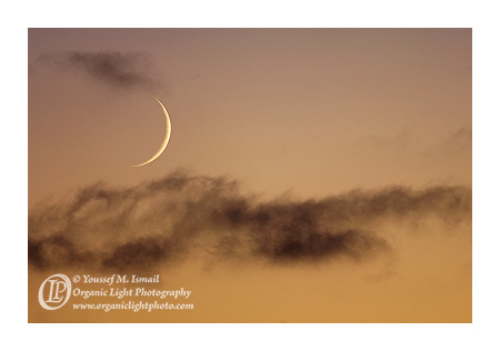 Crescent Moon of Ramadan 1431