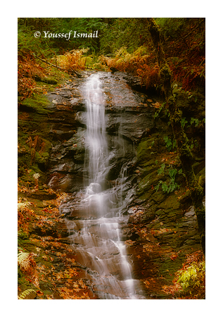 Tailbone Falls - Early Winter run