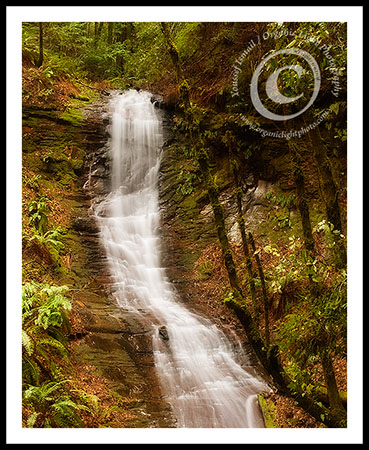 Tailbone Falls - Winter Run